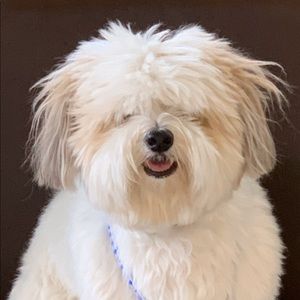 Meet your Posher, Shiri